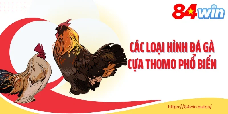 Các loại hình đá gà cựa Thomo phổ biến