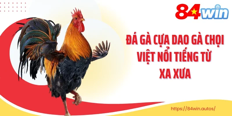 Đá gà cựa dao gà chọi Việt nổi tiếng từ xa xưa