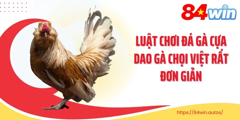 Luật chơi đá gà cựa dao gà chọi Việt rất đơn giản