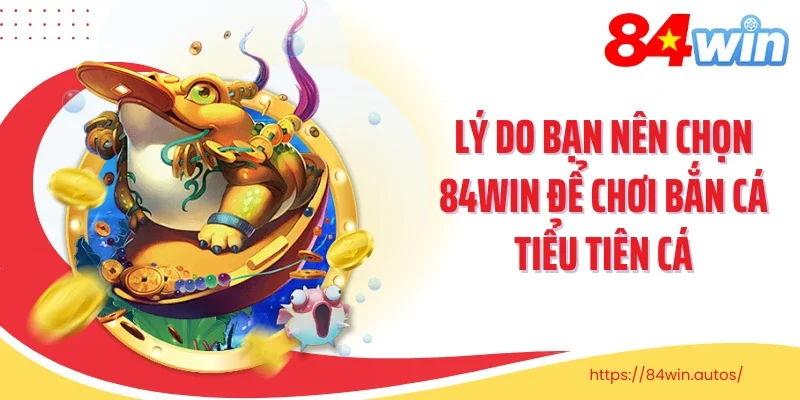 Lý do bạn nên chọn 84WIN để chơi bắn cá tiểu tiên cá