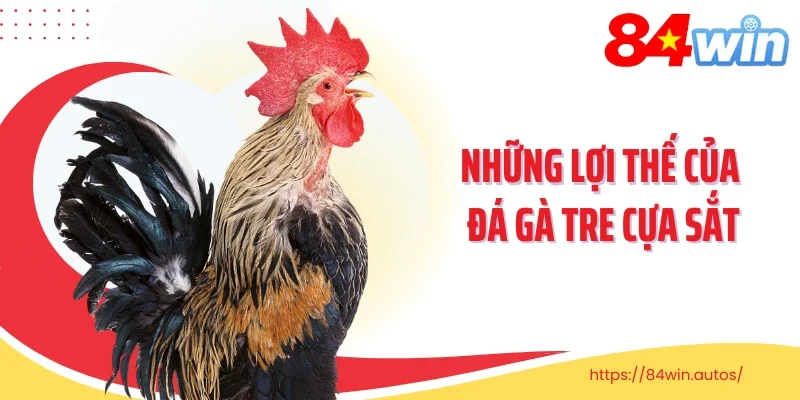Những lợi thế của đá gà tre cựa sắt