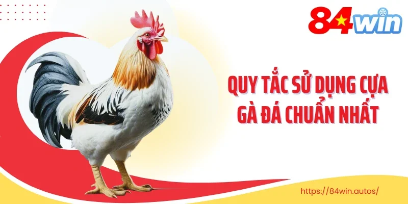 Quy tắc sử dụng cựa gà đá chuẩn nhất